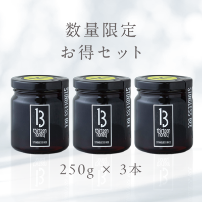 【15%オフ：残８】13Honey STINGLESS BEE 250g 3本セット